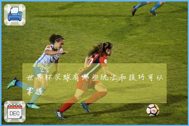 世界杯买球有哪些玩法和技巧可以掌握