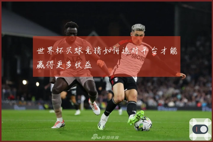 世界杯买球竞猜如何选对平台才能赢得更多收益