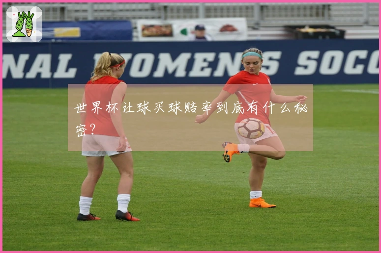 世界杯让球买球赔率到底有什么秘密？