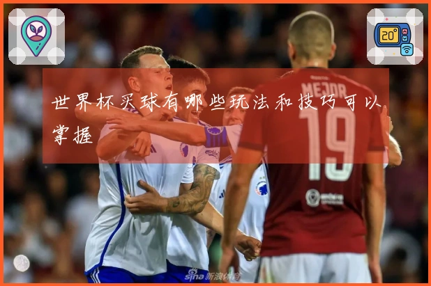 世界杯买球有哪些玩法和技巧可以掌握