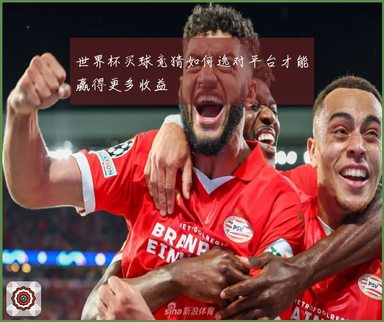 世界杯买球竞猜如何选对平台才能赢得更多收益