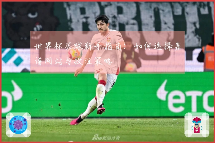 世界杯买球新手指南：如何选择靠谱网站与投注策略