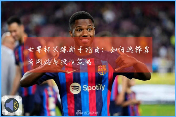 世界杯买球新手指南：如何选择靠谱网站与投注策略