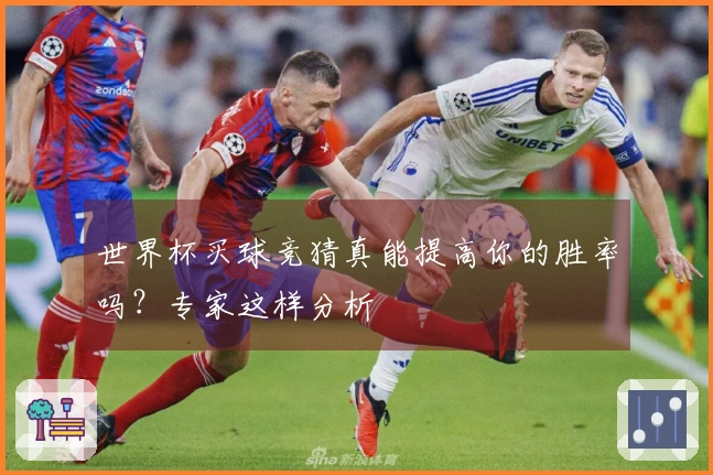 世界杯买球竞猜真能提高你的胜率吗？专家这样分析