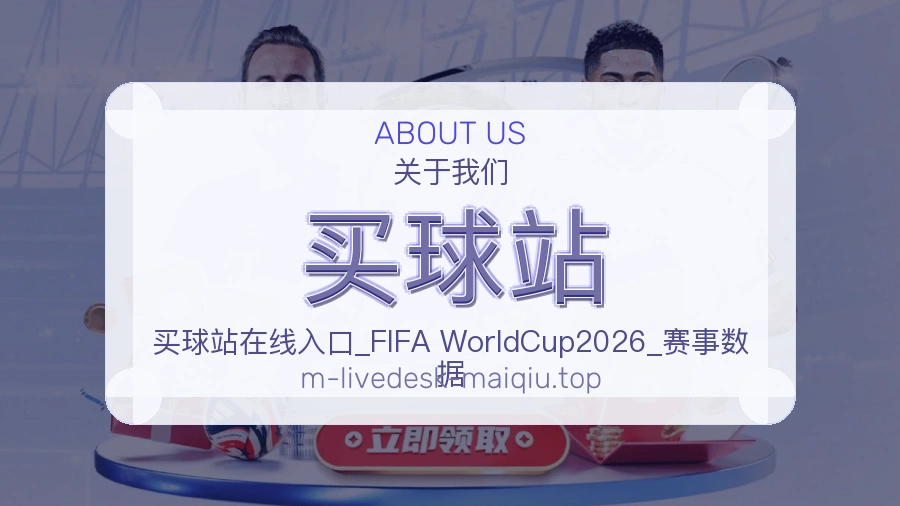 关于 买球站 团队与服务